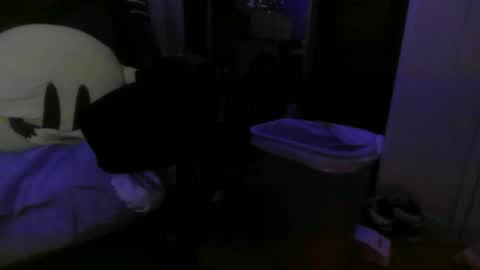 Snapshot of 1337assman1337 chatting on 21, 10, 2025 1337assman1337 online show from 21, 10, 2025