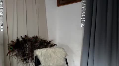 barbie online show from 8, 2, 2026