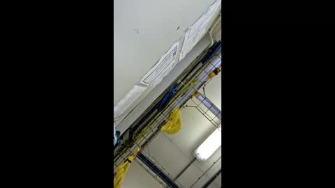 1971berliner online show from 24, 2, 2026