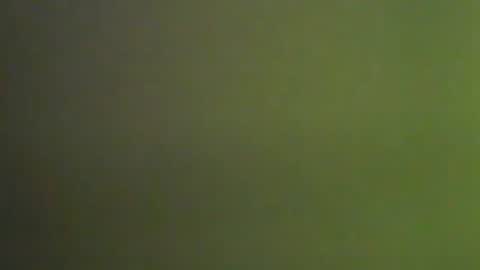 Snapshot of 1deluxepussy chatting on 9, 1, 2025 Deluxepussy online show from 9, 1, 2025