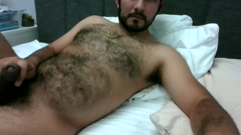 Snapshot of 2022felipe chatting on 31, 12, 2024 2022felipe online show from 31, 12, 2024