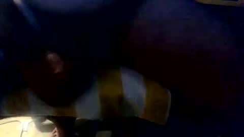 2025shay2009 online show from 4, 11, 2025