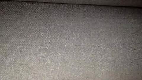 30nick online show from 9, 2, 2026