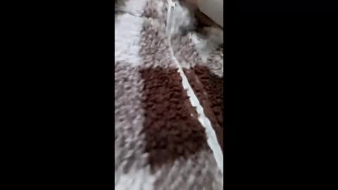 Snapshot of 3x_naxa chatting on 15, 2, 2026 3X NAXAA online show from 15, 2, 2026