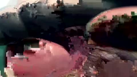 Snapshot of 420_johnnystamina chatting on 15, 2, 2025 420_johnnystamina online show from 15, 2, 2025