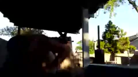 420dick420707 online show from 19, 3, 2026