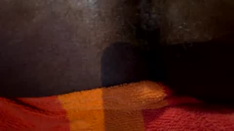 4ovariesonly online show from 9, 7, 2026