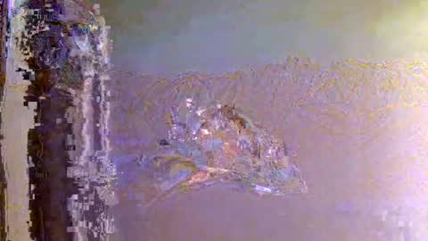 Snapshot of 60zeus60 chatting on 1, 11, 2025 Zeus online show from 1, 11, 2025