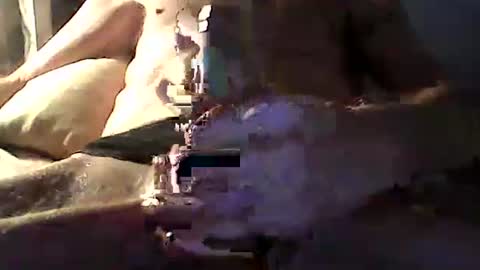 Zeus online show from 14, 4, 2026