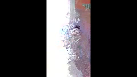 Snapshot of 60zeus60 chatting on 22, 4, 2026 Zeus online show from 22, 4, 2026