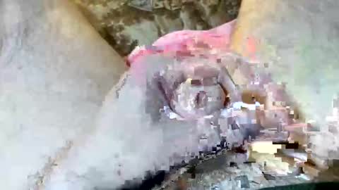 69rumbler online show from 6, 11, 2025