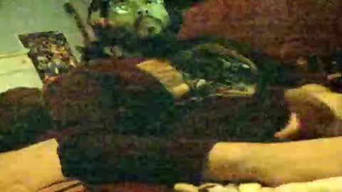 6instraighter7 online show from 3, 11, 2025