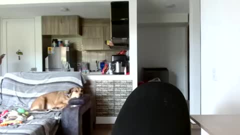 Snapshot of 777__luna__ chatting on 21, 2, 2025 luna online show from 21, 2, 2025