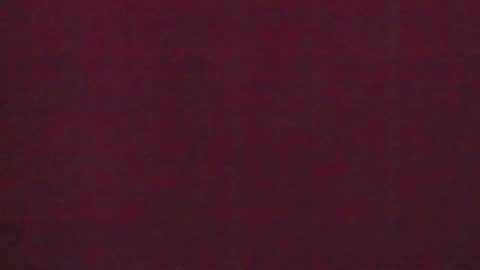 Brendi online show from 31, 1, 2025