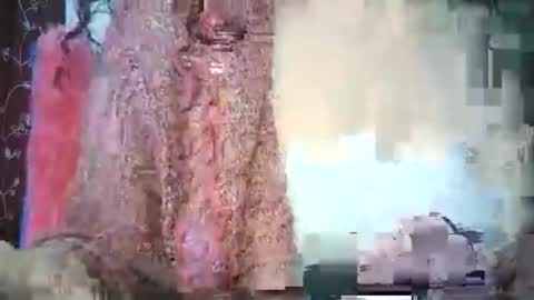 Lilu online show from 15, 2, 2026