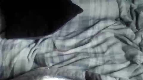 8675309r2d2 online show from 26, 9, 2025