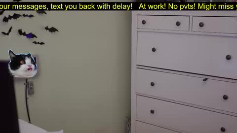 _3x7_ online show from 7, 10, 2025