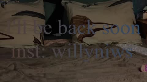 Willow online show from 27, 12, 2024