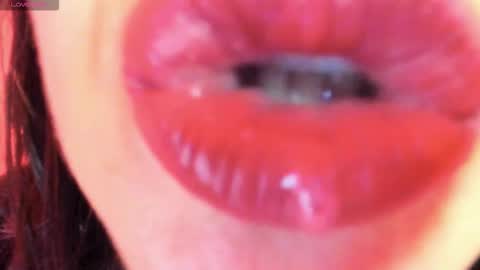 antonia online show from 11, 11, 2025