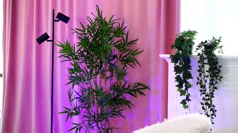 Arielle online show from 19, 12, 2024