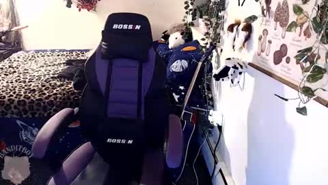 bandit online show from 22, 2, 2026