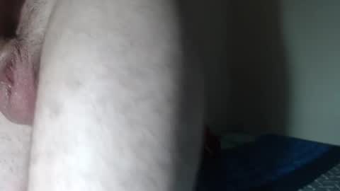 _bigpines online show from 26, 2, 2025