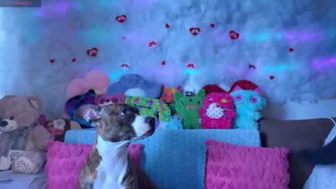 Snapshot of _devilbaby chatting on 7, 3, 2026 Kate online show from 7, 3, 2026