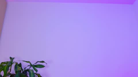 Emi online show from 3, 2, 2026