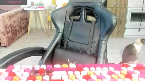 Alis online show from 10, 3, 2026