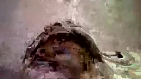 Snapshot of _hershey003 chatting on 11, 1, 2025 _hershey003 online show from 11, 1, 2025