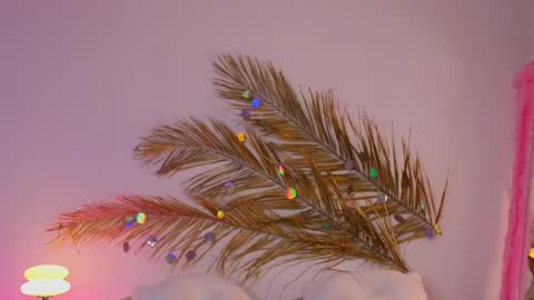 Holly online show from 12, 3, 2025