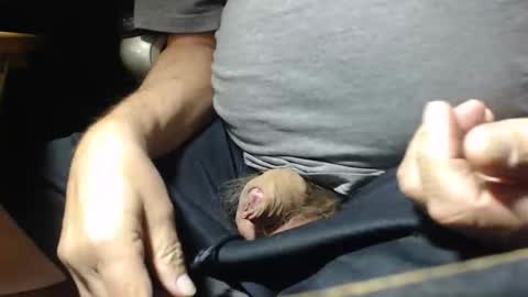 _jimmini online show from 1, 11, 2025