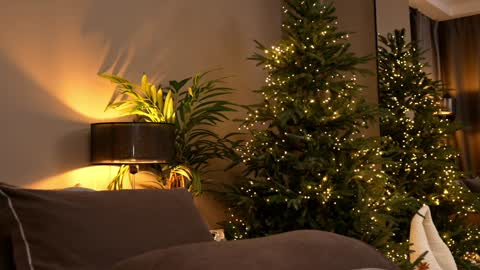 FANSLY ---   anal in private 700 tokens online show from 30, 11, 2025