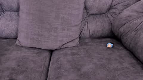     online show from 6, 12, 2024