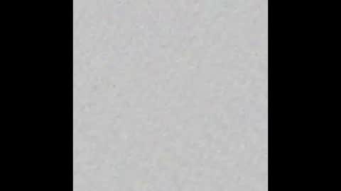 _maccaa_ online show from 1, 12, 2025