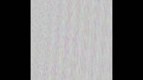 _maccaa_ online show from 22, 12, 2025