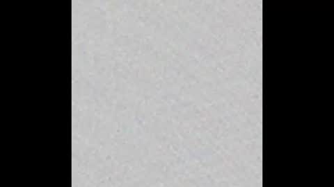 _maccaa_ online show from 17, 1, 2026