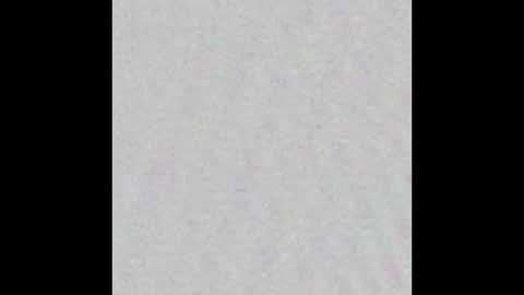 _maccaa_ online show from 2, 2, 2026