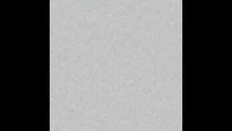 _maccaa_ online show from 3, 2, 2026