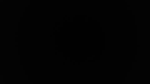 medusa online show from 13, 11, 2025