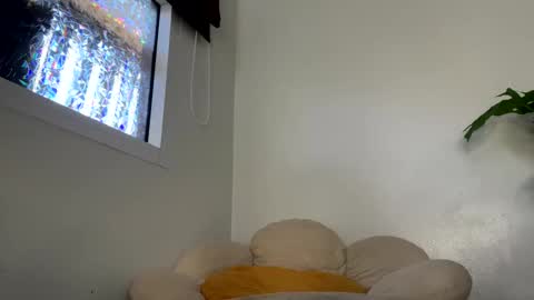 Snapshot of _morpho_ chatting on 29, 1, 2025 Francine Aisi Morpho - a genus of blue butterflies. online show from 29, 1, 2025