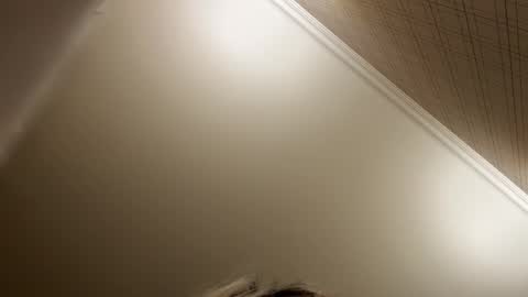 Snapshot of _morpho_ chatting on 21, 12, 2025 Francine Aisi Morpho - a genus of blue butterflies. online show from 21, 12, 2025