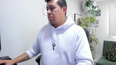 Panda  online show from 4, 7, 2026