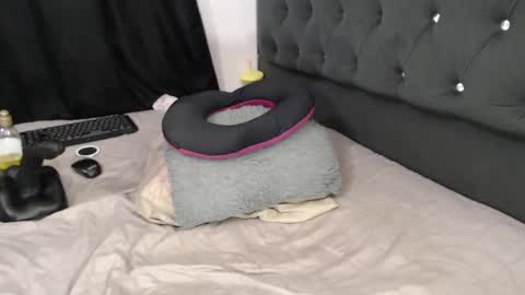 _pamelaqueen_ online show from 6, 1, 2026