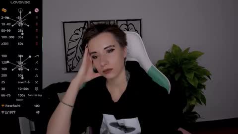 Rein online show from 9, 10, 2025