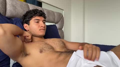 Euler online show from 26, 11, 2025