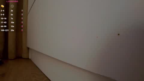 Snapshot of _smetanka_ chatting on 1, 11, 2025 _smetanka_ online show from 1, 11, 2025