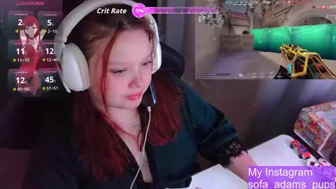 pups online show from 24, 11, 2025