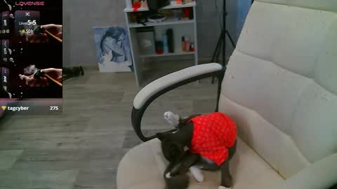 Milana   welcome to my world  online show from 26, 2, 2025