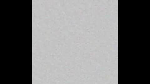 _tammarra_ online show from 3, 10, 2025